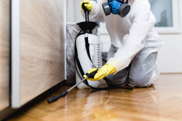 Best Rat Extermination Near Me  in Enetai, WA