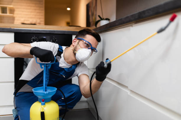 Pest Prevention Services in Enetai, WA