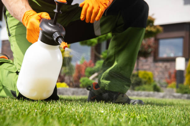 Best Pest Removal Services  in Enetai, WA