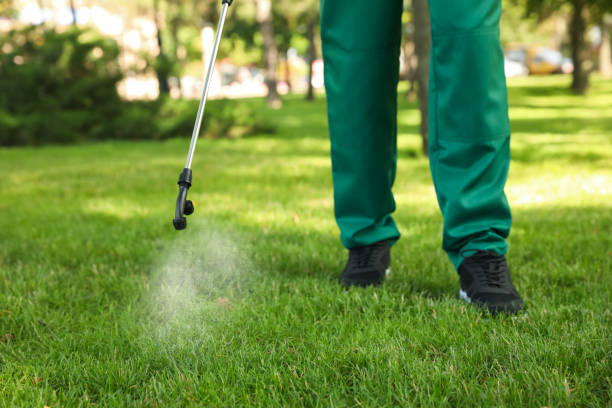 Best Exterminator Services  in Enetai, WA