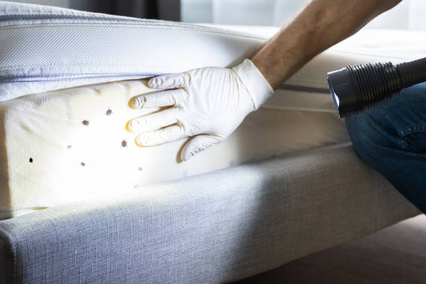 Best Residential Pest Control  in Enetai, WA