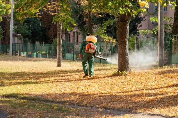 Best Cockroach Control Services  in Enetai, WA