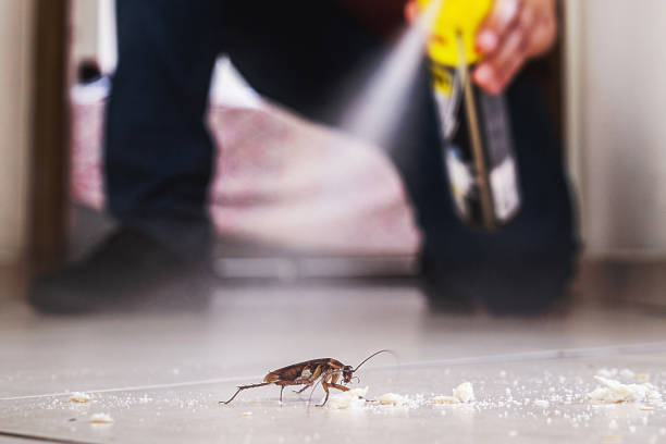 Best Pest Control Near Me  in Enetai, WA
