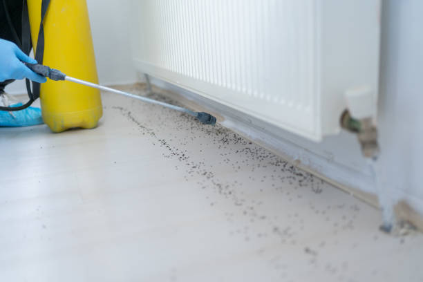  Enetai, WA Pest Control Pros