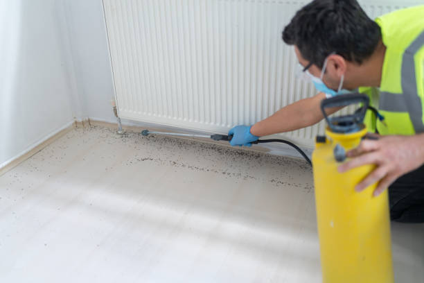Best Emergency Pest Control  in Enetai, WA