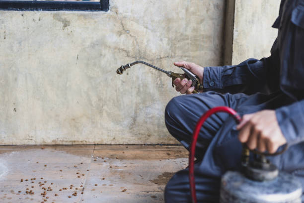 Best Termite Control Services  in Enetai, WA